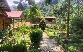 Mountain View Tangkahan